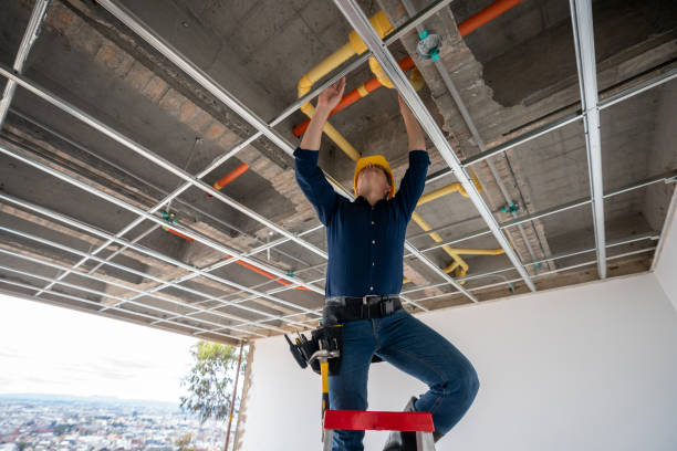 Best Emergency Plumber  in Lyons, GA